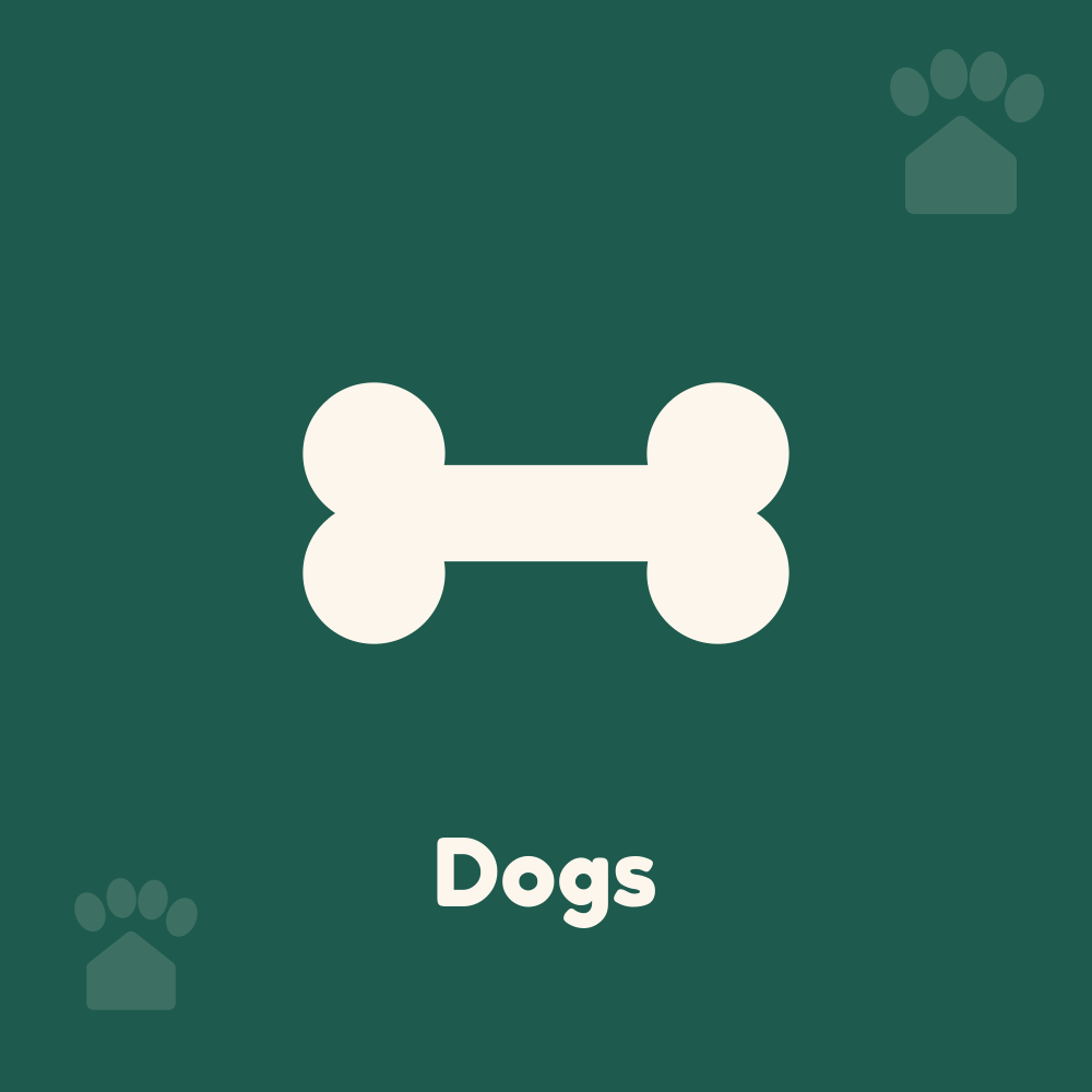 Pet Haven Dogs collection